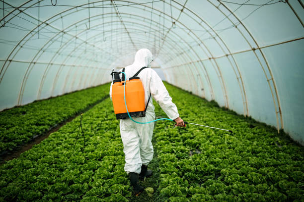 Pest Control for Restaurants in Bamberg, SC