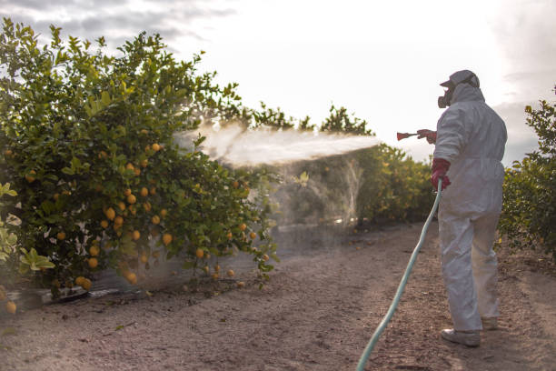 Best Best Pest Control Companies  in Bamberg, SC