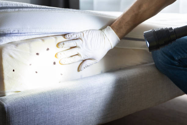 Best Exterminator Services  in Bamberg, SC
